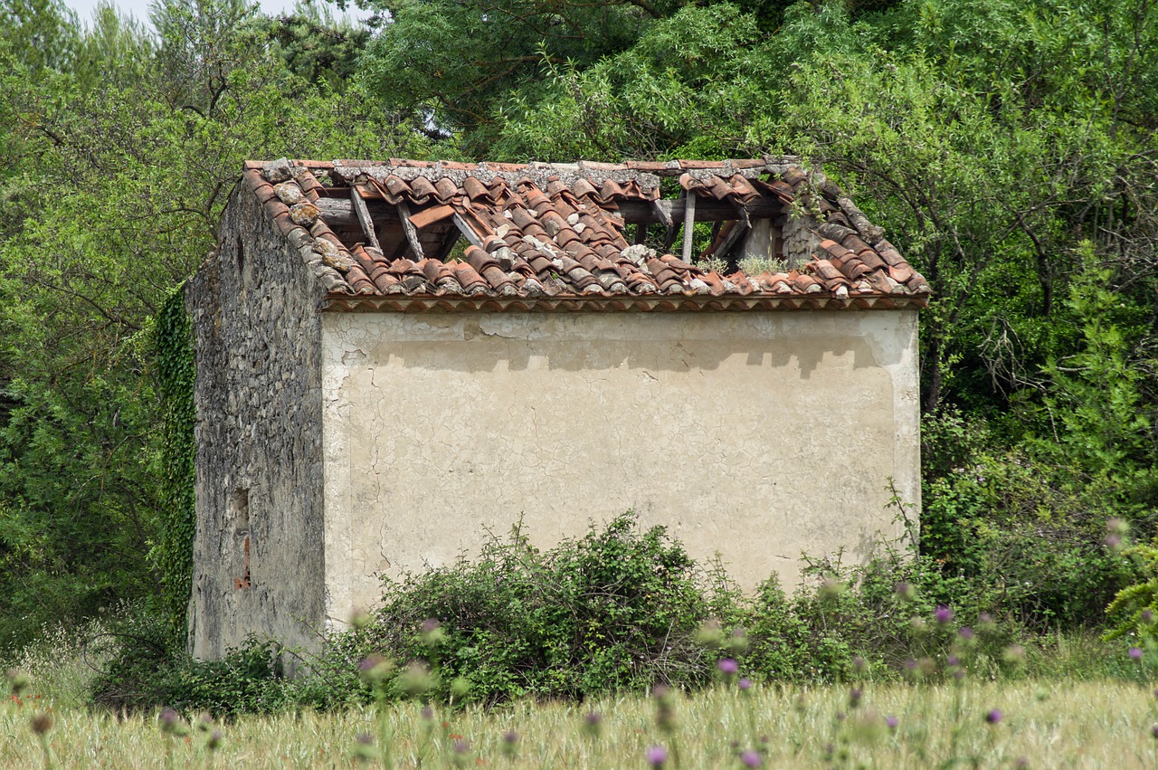Image du contenu