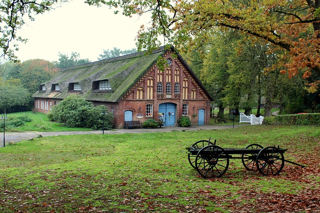 Image du contenu