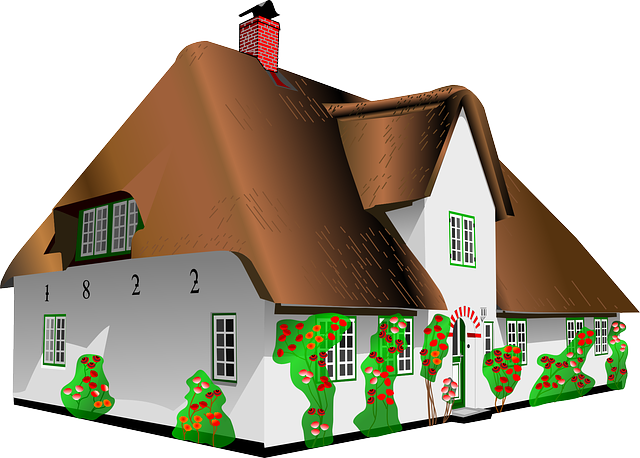 Image du contenu