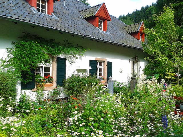 Image du contenu
