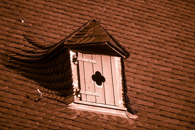 Image du contenu