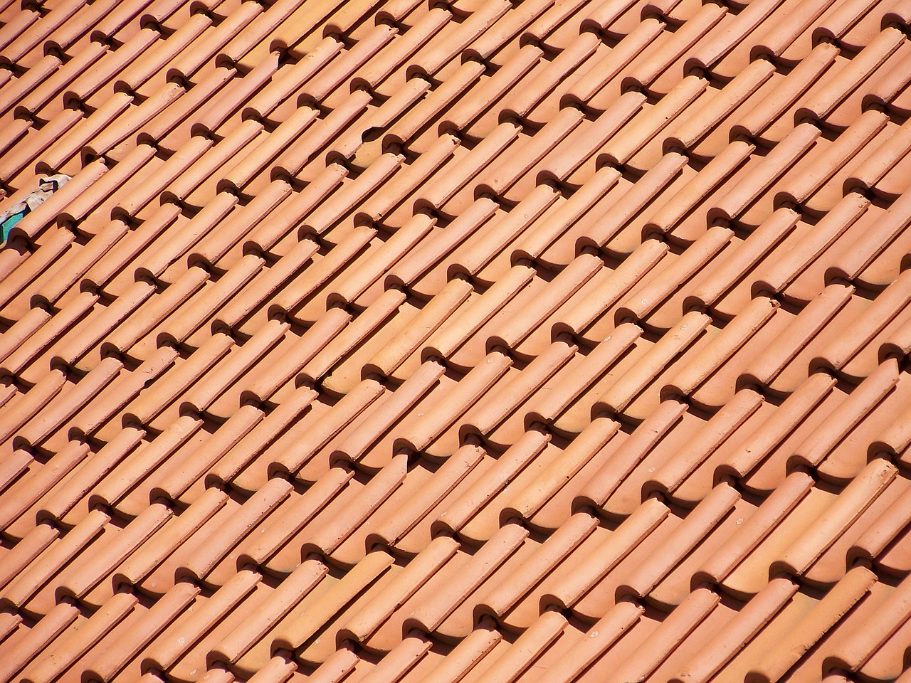 Image du contenu