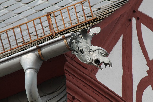 Image du contenu