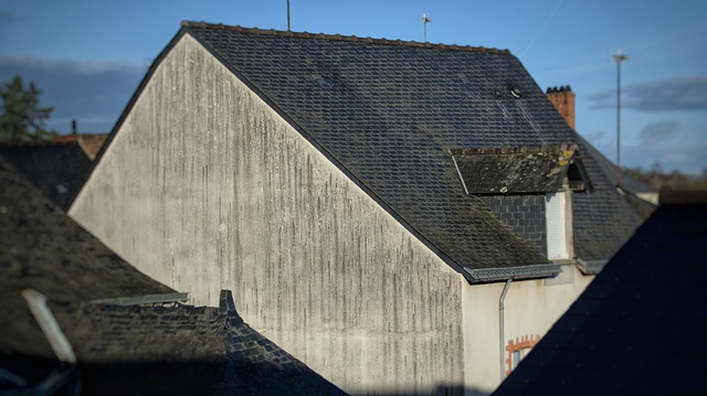 Image du contenu