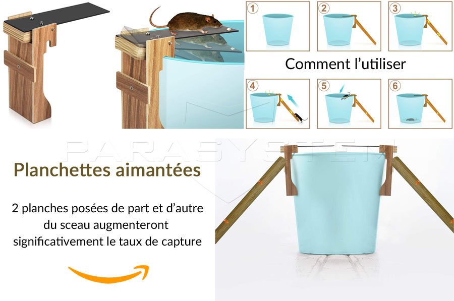 Image du contenu